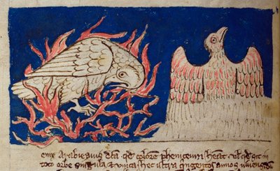 CCA-LitMs/D/10 fol. 17v Phénix, du Bestiaire - English School