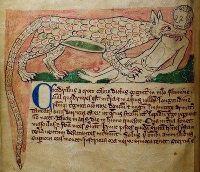 CCA-LitMs/D/10 fol. 3v Crocodile, du Bestiaire - English School