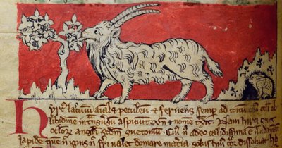 CCA-LitMs/D/10 fol. 8v Chèvre, du Bestiaire - English School