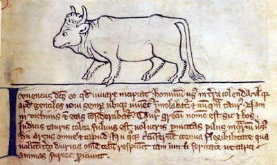 CCA-LitMs/D/10 fol. 9r Taureau, du Bestiaire - English School
