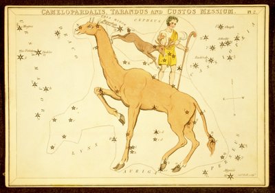 Camelopardalis, Tarandus et Custos Messium, pub. 1825 - English School