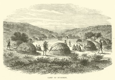 Camp de Bushmen - English School