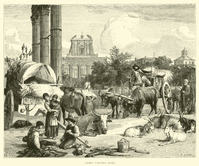 Campo Vaccino, Rome - English School