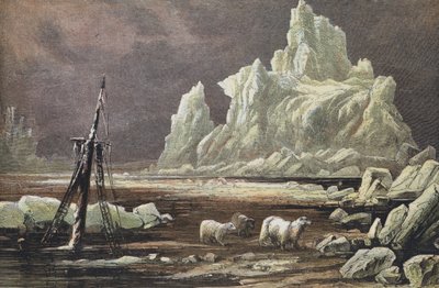 Cap Omman, Sibérie du Nord (gravure en couleur) - English School