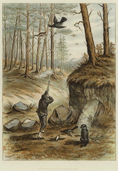 Chasse au grand tétras - English School