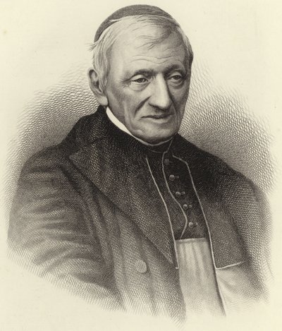 Cardinal Newman - English School