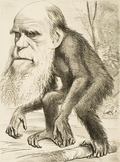 Caricature de Charles Darwin - English School