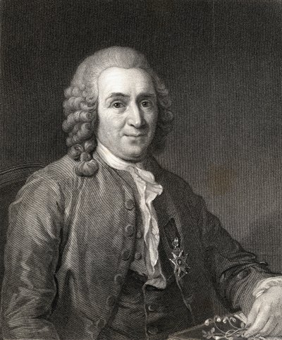 Carl von Linné ou Linné (1707-78) de La Galerie des Portraits, publié en 1833 - English School