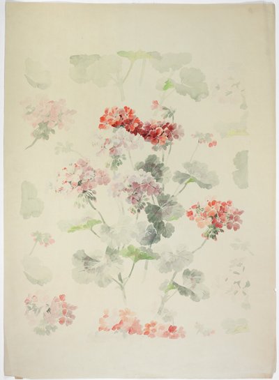 Design de tapis - English School