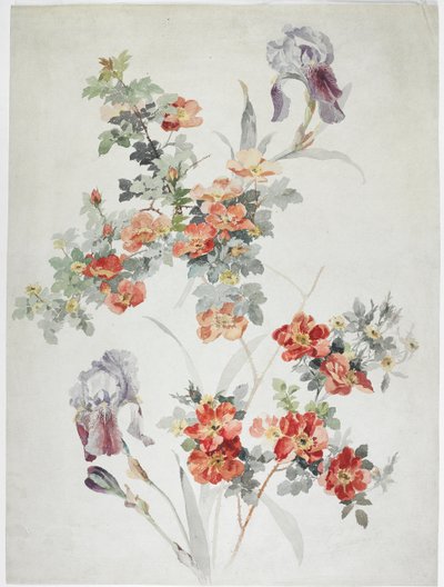 Design de tapis - English School