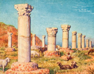 Carthage, basilique de Saint Cyprien - English School