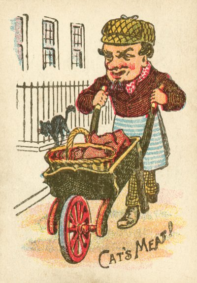 Vendeur de viande de chat - English School