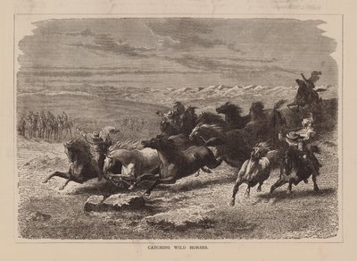 Attraper des chevaux sauvages (gravure) - English School