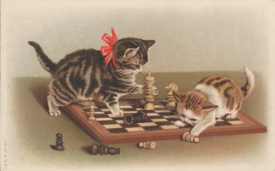Chats jouant aux échecs - English School