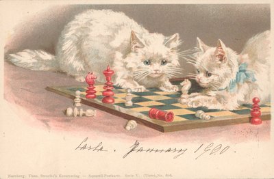 Chats jouant aux échecs - English School