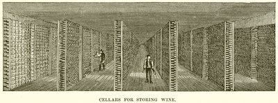 Caves pour le stockage du vin - English School