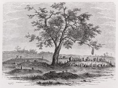 Cimetière et arbre sacré à Mbinda, de 