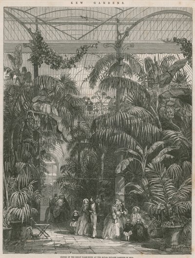 Centre de la grande maison des palmiers aux jardins botaniques royaux de Kew - English School