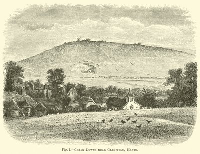 Collines de craie près de Clanfield, Hants - English School