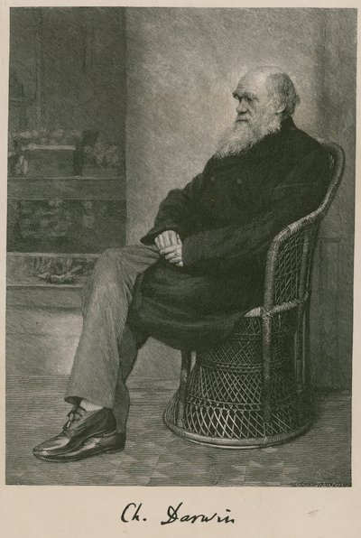 Charles Darwin - English School