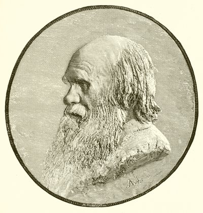 Charles Darwin - English School
