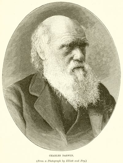 Charles Darwin - English School