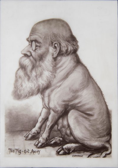 Plaque de Charles Darwin, vers 1870 - English School