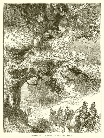 Charles II caché dans le Chêne - English School