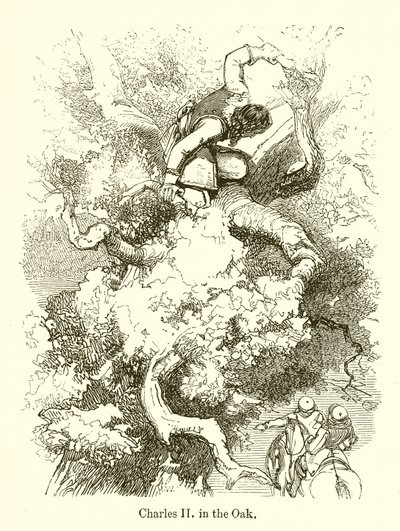 Charles II dans le chêne - English School