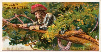 Charles II dans le chêne - English School