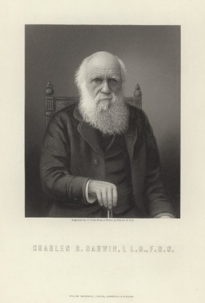 Charles R. Darwin - English School