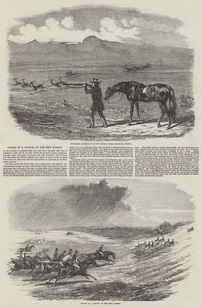 Chasse d