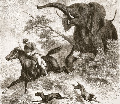 Poursuivi par un éléphant, illustration de l