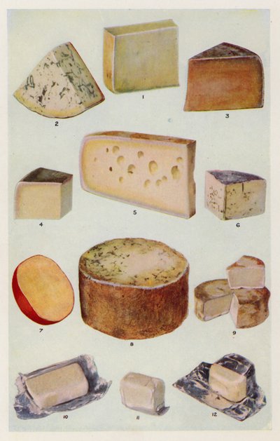 Cheddar; Gorgonzola; Double Gloucester; Parmesan; Gruyère; Roquefort; Hollandais; Stilton; Camembert; St Ives; Crème - English School