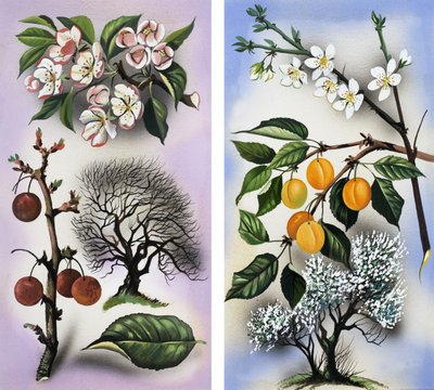 Cerisiers et abricotiers - English School