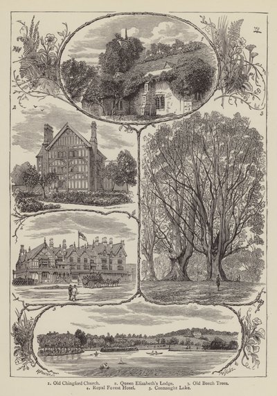 Chingford (gravure) - English School