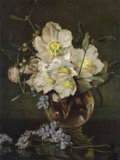 Roses de Noël - English School