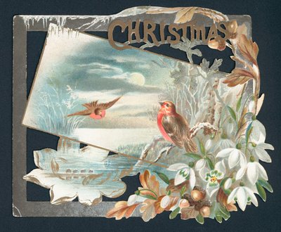 Carte de Noël avec deux rouges-gorges - English School