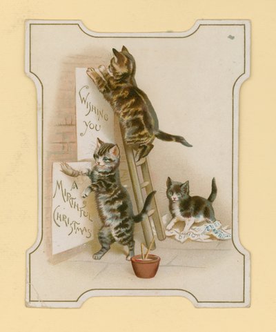 Cartes de Noël, avec des chats - English School