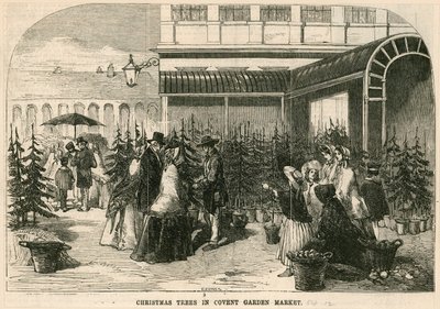 Arbres de Noël au marché de Covent Garden, Londres - English School