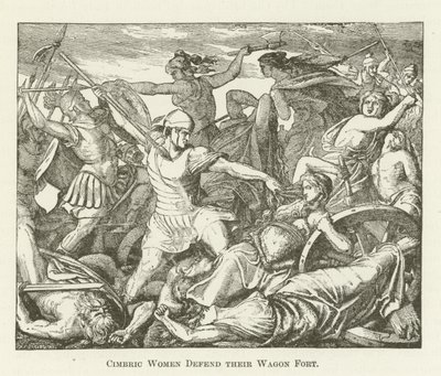 Femmes Cimbres défendent leur Fort de Chariots - English School