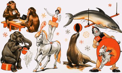 Montage de cirque - English School