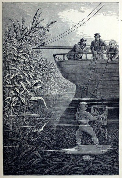 Nettoyage de la vis, de Sous les vagues, ou Plongée en eaux profondes - English School