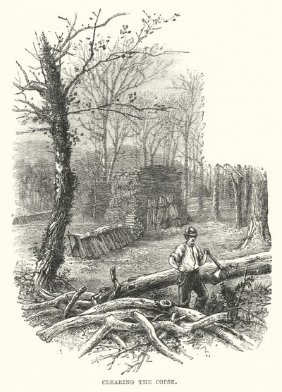 Défrichage du taillis (gravure) - English School