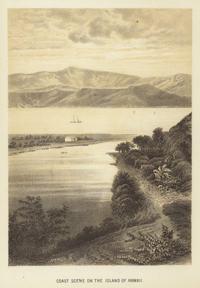 Scène côtière sur l