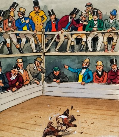 Combat de coqs - English School