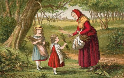 Collecte de bois de chauffage - English School