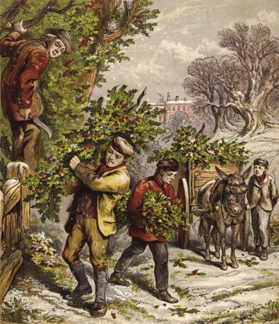 Récolte de houx - English School