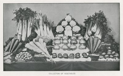Collection de légumes - English School