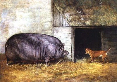 Confrontation - English School